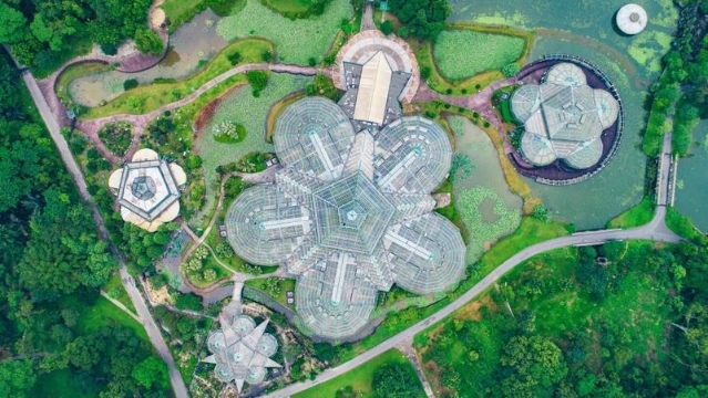 华南植物园规划目标：建设4个世界一流专类园